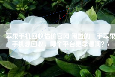 苹果手机回收估价官网(闲置的二手苹果手机想回收，哪个平台更靠谱啊？)