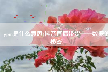 gpm是什么意思(抖音直播带货——数据的秘密)