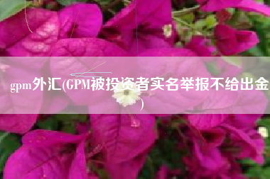 gpm外汇(GPM被投资者实名举报不给出金！)