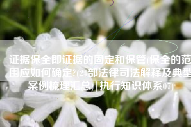 证据保全即证据的固定和保管(保全的范围应如何确定?(24部法律司法解释及典型案例梳理汇总)|执行知识体系07)