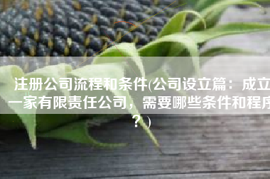 注册公司流程和条件(公司设立篇：成立一家有限责任公司，需要哪些条件和程序？)