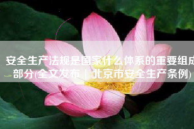 安全生产法规是国家什么体系的重要组成部分(全文发布 | 北京市安全生产条例)