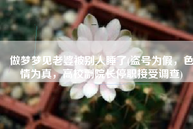 做梦梦见老婆被别人睡了(盗号为假，色情为真，高校副院长停职接受调查)