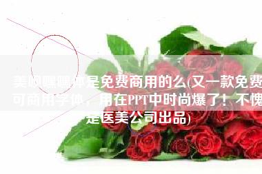 美呗嘿嘿体是免费商用的么(又一款免费可商用字体，用在PPT中时尚爆了！不愧是医美公司出品)