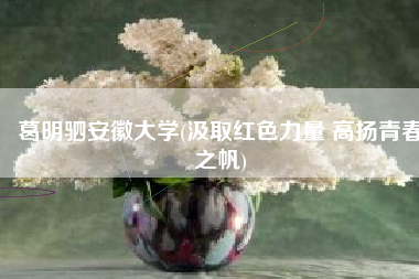 葛明驷安徽大学(汲取红色力量 高扬青春之帆)