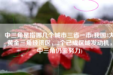 中三角是指哪几个城市三省一市(我国3大黄金三角经济区，2个已成区域发动机，中三角仍需努力)