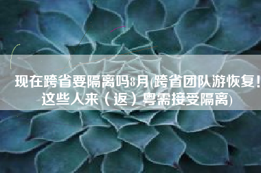 现在跨省要隔离吗8月(跨省团队游恢复！这些人来（返）粤需接受隔离)