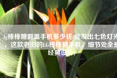 lg棒棒糖翻盖手机多少钱(能发出七色灯光，这款老旧的LG棒棒糖手机，细节处全是经典设计)