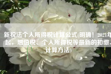 新税法个人所得税计算公式(明确！2021年起，增值税、个人所得税等最新的扣缴、计算方法)