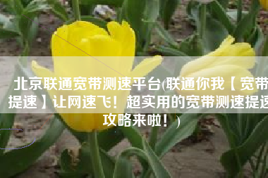 北京联通宽带测速平台(联通你我【宽带提速】让网速飞！超实用的宽带测速提速攻略来啦！)