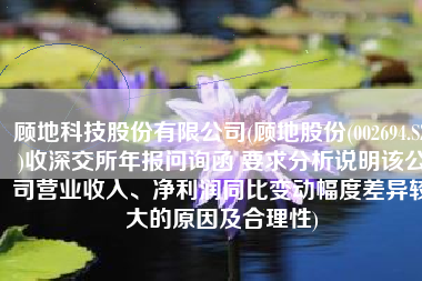顾地科技股份有限公司(顾地股份(002694.SZ)收深交所年报问询函 要求分析说明该公司营业收入、净利润同比变动幅度差异较大的原因及合理性)