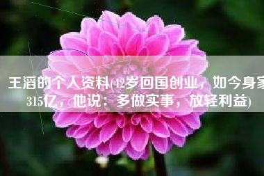 王滔的个人资料(42岁回国创业，如今身家315亿，他说：多做实事，放轻利益)