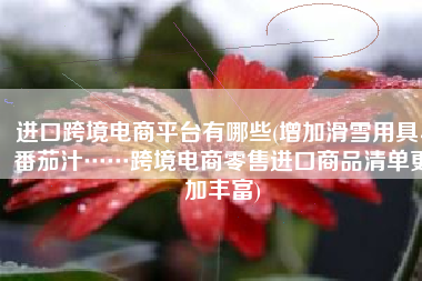 进口跨境电商平台有哪些(增加滑雪用具、番茄汁……跨境电商零售进口商品清单更加丰富)