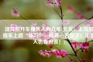 没驾照开车撞死人判几年(北京：无驾照借车上路“练习”，撞死一名女子！出借人也要担责！)