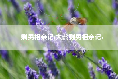 剩男相亲记(大龄剩男相亲记)