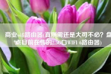 商业wifi路由器(真刚需还是大可不必？盘点目前在售的2.5G口WIFI 6路由器)
