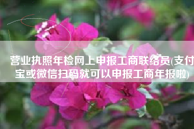 营业执照年检网上申报工商联络员(支付宝或微信扫码就可以申报工商年报啦)