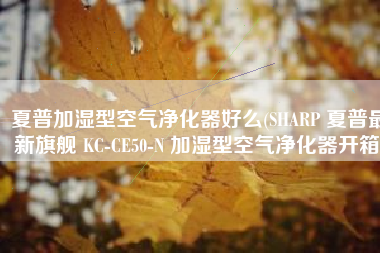 夏普加湿型空气净化器好么(SHARP 夏普最新旗舰 KC-CE50-N 加湿型空气净化器开箱)