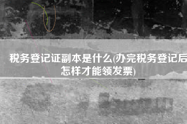 税务登记证副本是什么(办完税务登记后怎样才能领发票)