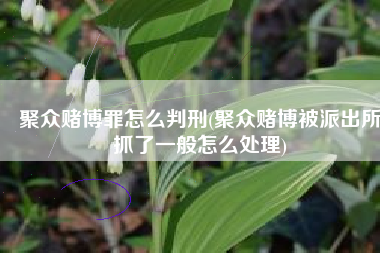 聚众赌博罪怎么判刑(聚众赌博被派出所抓了一般怎么处理)