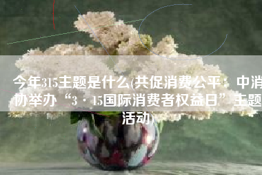 今年315主题是什么(共促消费公平：中消协举办“3·15国际消费者权益日”主题活动)