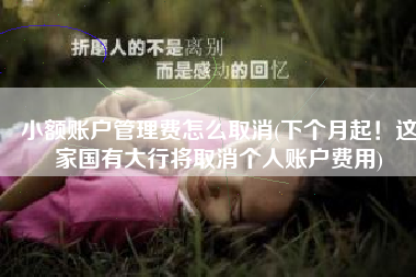 小额账户管理费怎么取消(下个月起！这家国有大行将取消个人账户费用)