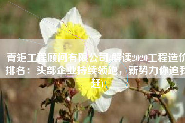 青矩工程顾问有限公司(解读2020工程造价排名：头部企业持续领跑，新势力你追我赶)