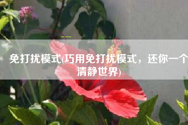 免打扰模式(巧用免打扰模式，还你一个清静世界)
