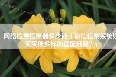 网络投票投票器多少钱（微信投票系统如何实现多样的适配场景？)