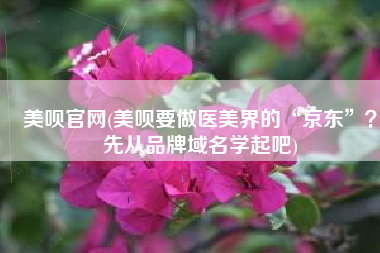 美呗官网(美呗要做医美界的“京东”？先从品牌域名学起吧)