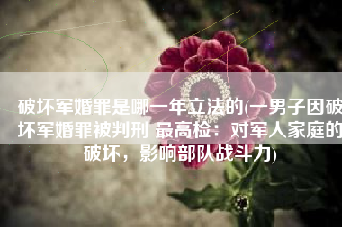 破坏军婚罪是哪一年立法的(一男子因破坏军婚罪被判刑 最高检：对军人家庭的破坏，影响部队战斗力)