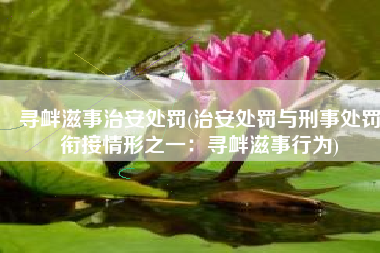 寻衅滋事治安处罚(治安处罚与刑事处罚衔接情形之一：寻衅滋事行为)