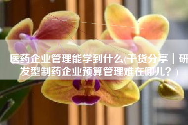 医药企业管理能学到什么(干货分享｜研发型制药企业预算管理难在哪儿？)