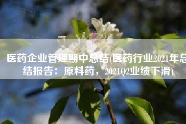 医药企业管理期中总结(医药行业2021年总结报告：原料药，2021Q2业绩下滑)