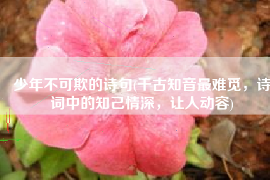 少年不可欺的诗句(千古知音最难觅，诗词中的知己情深，让人动容)
