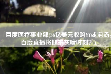 百度医疗事业部(36亿美元收购YY或泡汤，百度直播将迎来灰暗时刻？)