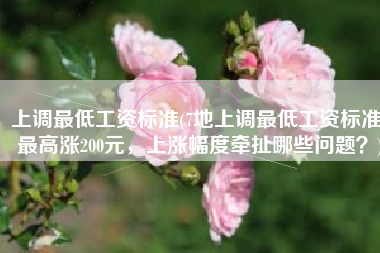 上调最低工资标准(7地上调最低工资标准：最高涨200元，上涨幅度牵扯哪些问题？)