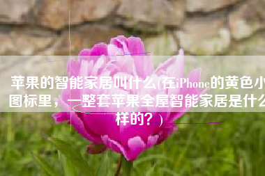 苹果的智能家居叫什么(在iPhone的黄色小图标里，一整套苹果全屋智能家居是什么样的？)