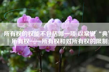 所有权的权能不包括哪一项(以案说“典” | 所有权——所有权和对所有权的限制)