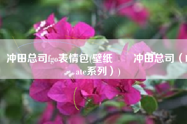 冲田总司fgo表情包(壁纸►►冲田总司（Fate系列）)