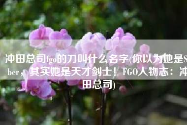 冲田总司fgo的刀叫什么名字(你以为她是Saber，其实她是天才剑士！FGO人物志：冲田总司)