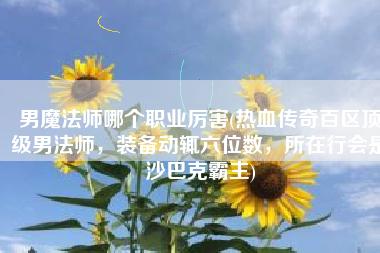 男魔法师哪个职业厉害(热血传奇百区顶级男法师，装备动辄六位数，所在行会是沙巴克霸主)