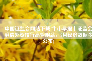 中国证监会网站下载(牛市早报｜证监会澄清外资投行高管限薪，5月经济数据今公布)