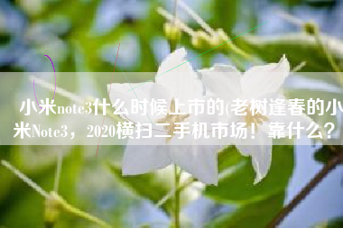 小米note3什么时候上市的(老树逢春的小米Note3，2020横扫二手机市场！靠什么？)