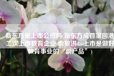 新东方是上市公司吗(新东方成首家回港二次上市教育企业 俞敏洪：上市是做好教育事业的“副产品”)