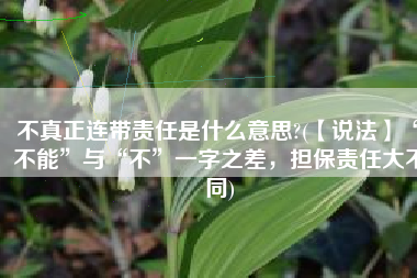 不真正连带责任是什么意思?(【说法】“不能”与“不”一字之差，担保责任大不同)