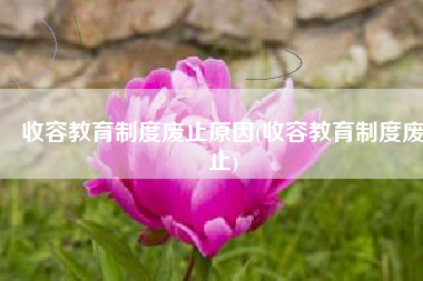 收容教育制度废止原因(收容教育制度废止)