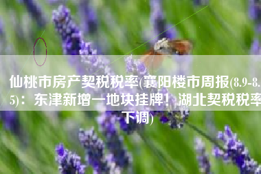 仙桃市房产契税税率(襄阳楼市周报(8.9-8.15)：东津新增一地块挂牌！湖北契税税率下调)
