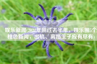 娱乐新闻(2022年刚过去半年，娱乐圈5个桃色新闻，出轨、离婚生子应有尽有)