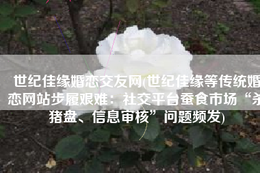 世纪佳缘婚恋交友网(世纪佳缘等传统婚恋网站步履艰难：社交平台蚕食市场“杀猪盘、信息审核”问题频发)